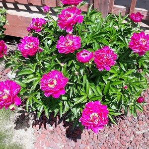 Meet your Posher, Sandy